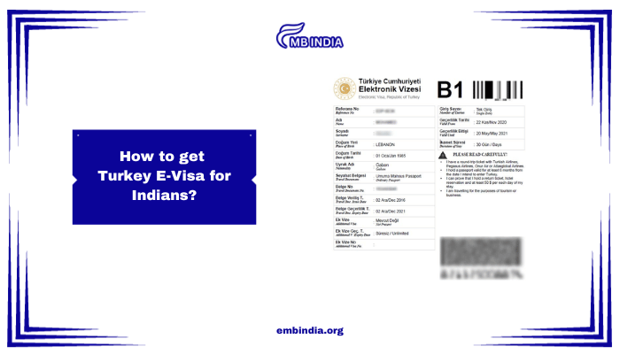 Turkey E-Visa for Indians